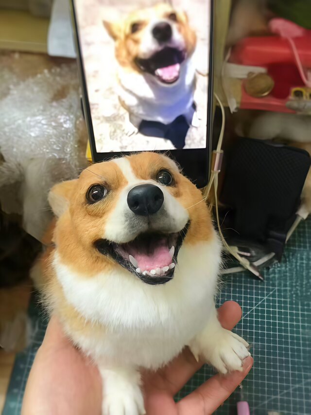 【オーダーメイド ペット】 ペット ぬいぐるみ オーダー 羊毛フェルト 柴犬  うちの子、ペット似顔絵、犬 猫 人形