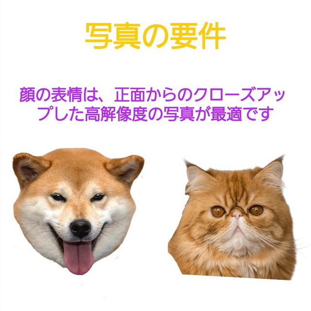 愛猫オーダーメイドフィギュア｜世界に一つのペットロス供養記念
