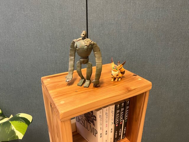 送料無料】 ブックシェルフ 本棚 単行本 文庫本 杉 3段 | iichi 日々の