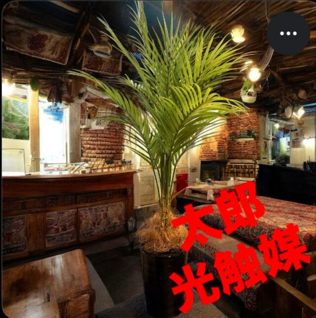 光触媒　人工観葉植物　フェイクグリーン　アレカヤシmwtj 光触媒 人工観葉植物 ウォールグリーン フェイクグリーン