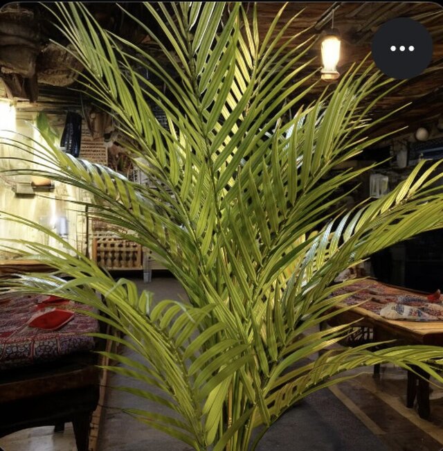 光触媒 人工観葉植物 ウォールグリーン フェイクグリーン アレカヤシ