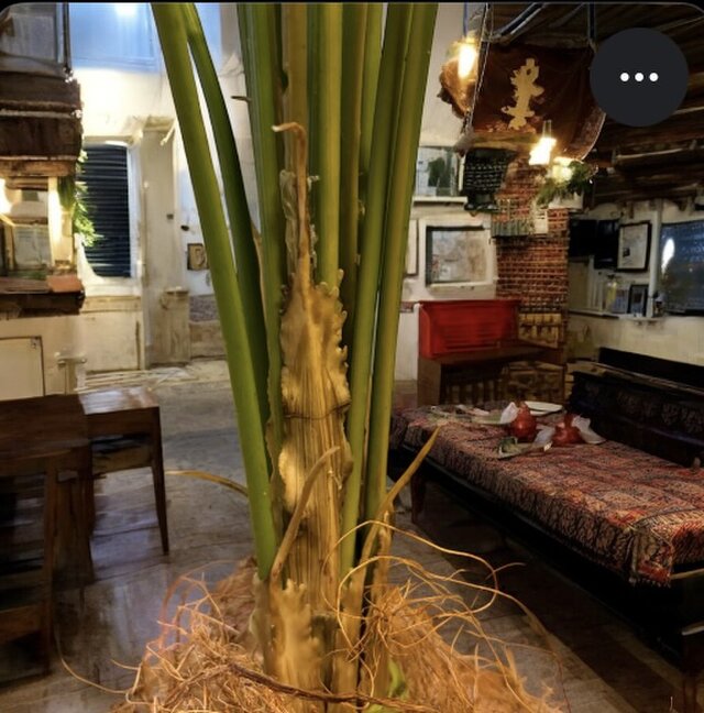 光触媒　人工観葉植物　ウォールグリーン　フェイクグリーン　アレカヤシ'tw 光触媒 人工観葉植物 ウォールグリーン フェイクグリーン