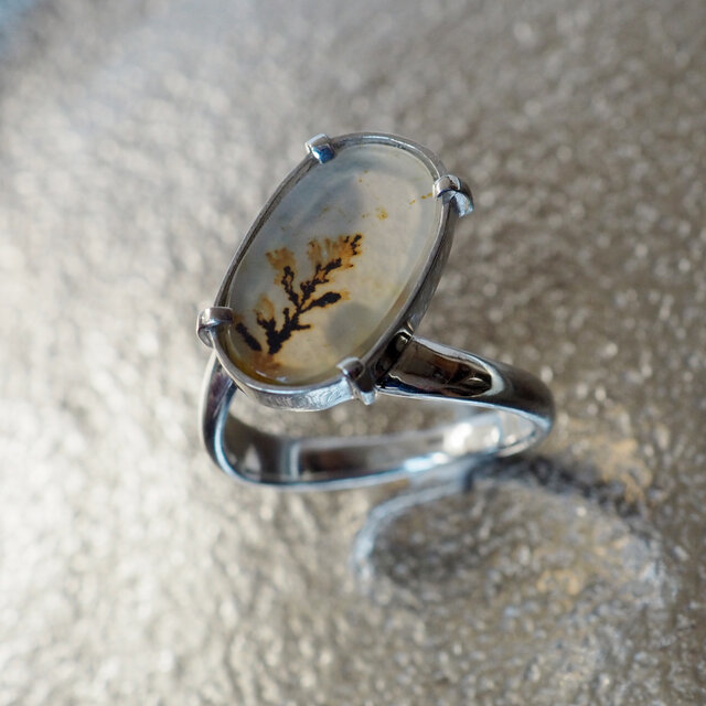週末セール デンドリティックアゲート シルバーリング サイズ13号 デンドリティックアゲートSilverリング 13号 | iichi 日々の