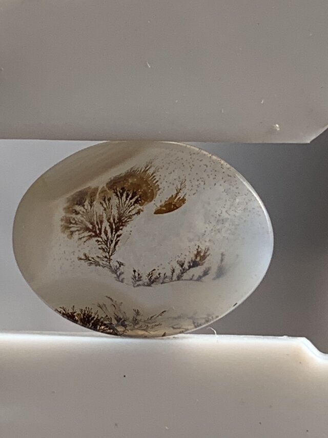 デンドリッククオーツのルース