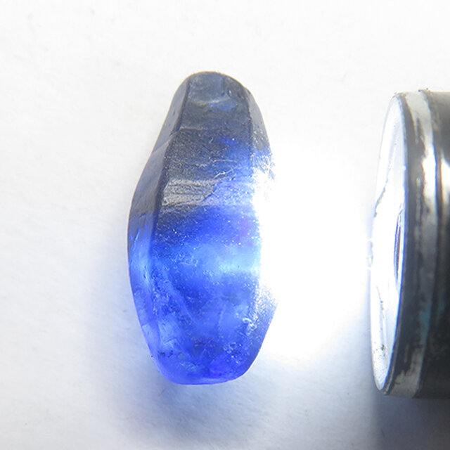 大地の記憶、透き通るロイヤルブルー。非加熱サファイア原石 8ct / 1点