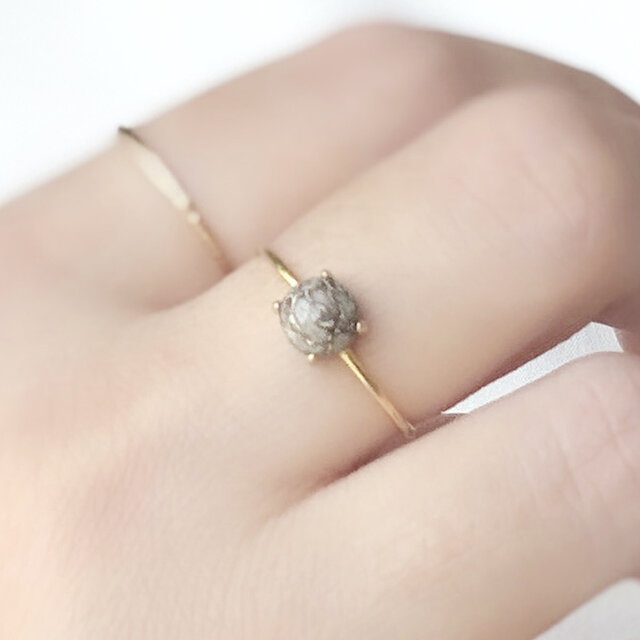 恐竜の化石のリング｜ダイナソーボーンフォシル 指輪 天然石