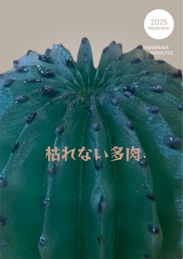 枯れない多肉♪ ユーフォルビア・ホリダ