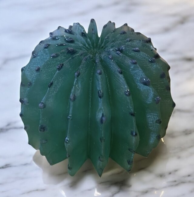 枯れない多肉♪ ユーフォルビア・ホリダ | iichi 日々の暮らしを