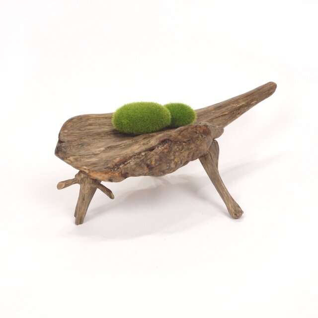 【温泉流木】ピンと伸びる上質変形流木の飾り台座スタンド 置台 台座 木製 流木インテリア