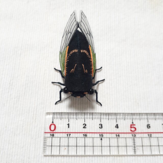 クマゼミ(オス)のぬいぐるみ | iichi 日々の暮らしを心地よく