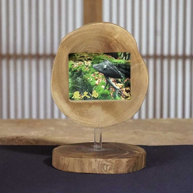 流木フォトスタンド　写真額　写真立て　木の額　　流木アート　木のインテリア　ナチュラルアート　１１１