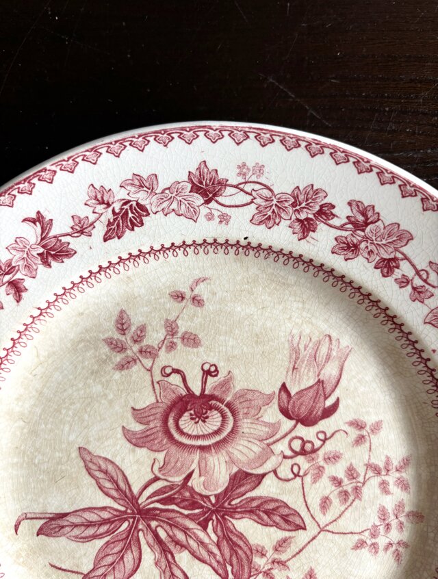 Creil クレイユ 平皿 植物柄 φ20.5cm フランス アンティーク a 0502341