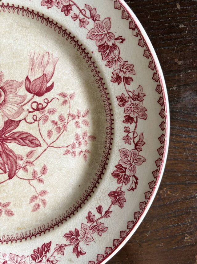 Creil クレイユ 平皿 植物柄 φ20.5cm フランス アンティーク a 0502341