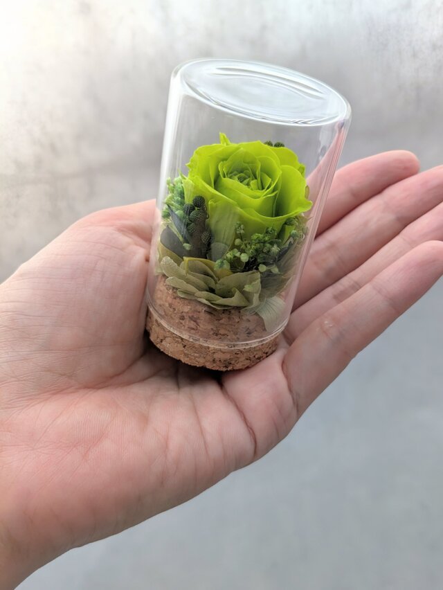 プリザーブドフラワー／緑のミニ薔薇と小花のミニガラスボトル