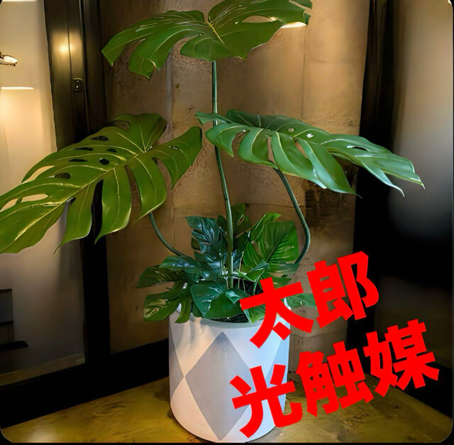 光触媒　人工観葉植物　ウォールグリーン　フェイクグリーン　バリ風特大モンステラ8 光触媒 人工観葉植物 ウォールグリーン フェイクグリーン バリ風特大