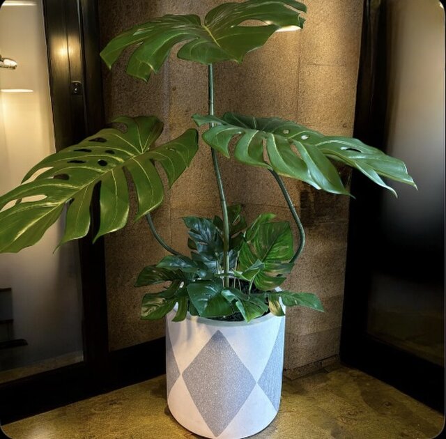 光触媒　人工観葉植物　ウォールグリーン　フェイクグリーン　バリ風モンステラ特大4 光触媒 人工観葉植物 ウォールグリーン フェイクグリーン バリ風