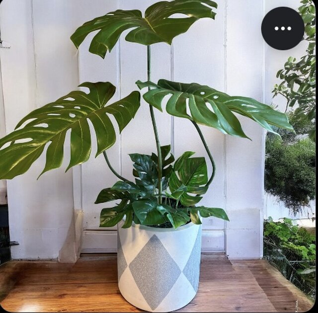 光触媒　人工観葉植物　ウォールグリーン　フェイクグリーン　バリ風モンステラ特大4 光触媒 人工観葉植物 ウォールグリーン フェイクグリーン バリ風