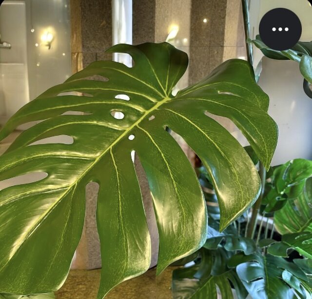 光触媒　人工観葉植物　ウォールグリーン　フェイクグリーン　バリ風モンステラ特大4 光触媒 人工観葉植物 ウォールグリーン フェイクグリーン バリ風