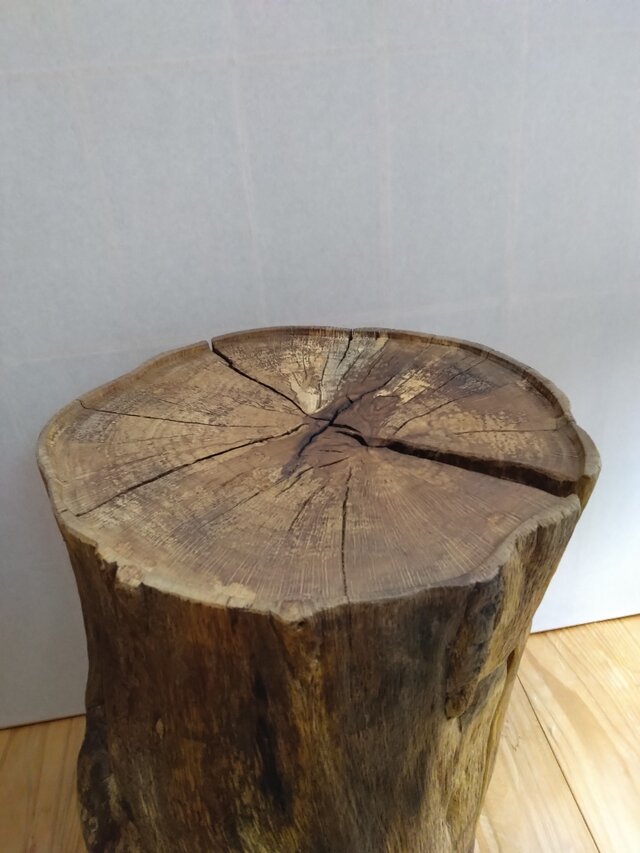 しっかり丸太椅子 ～樫の丸太スツール・サイドテーブル・ディスプレイ