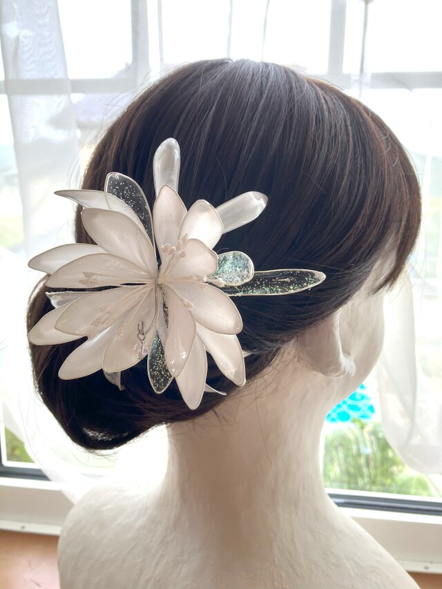 月下美人＊輝（コーム）