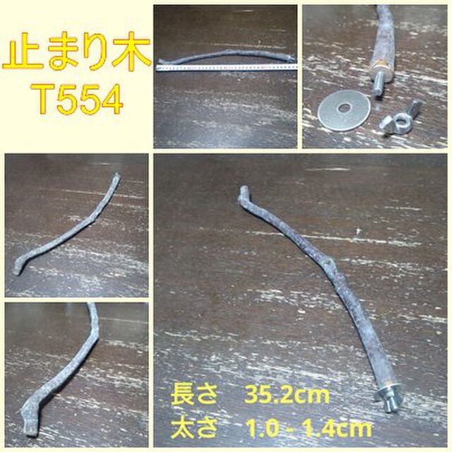止まり木（枝：TOY-08-015）T554