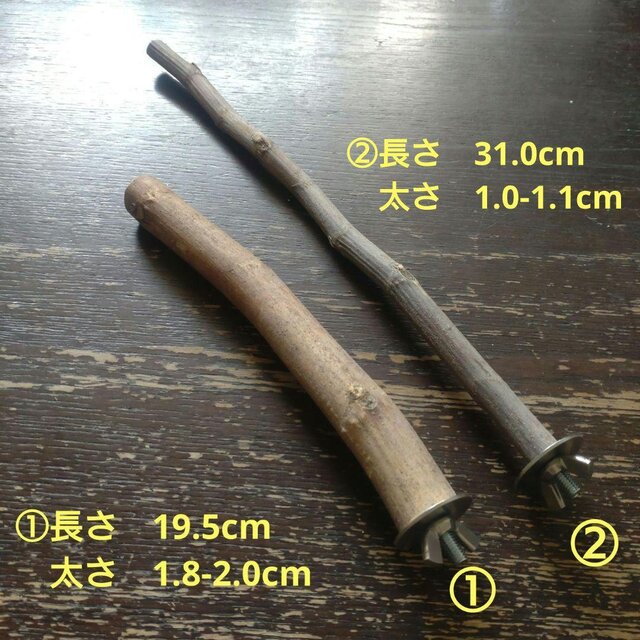 止まり木セット（イチジク：TOY-08-015）T555 | iichi 日々の暮らしを