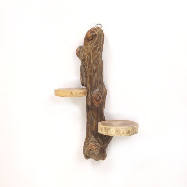 【温泉流木】個性的流木と丸太の壁掛け飾り棚005鍛錬の筋 壁掛けラック ウォールラック 流木インテリア