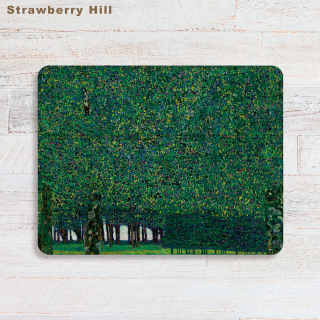 クリムト iPadケース ペン収納 軽量 背面クリア あいぱっどけーす スタンド機能