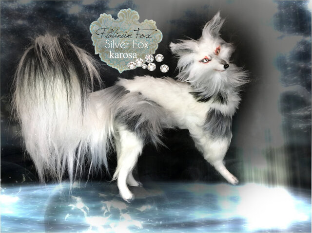 プラチナキツネ 銀狐 全身可動 完全オリジナル キツネ 狐 妖狐 羊毛