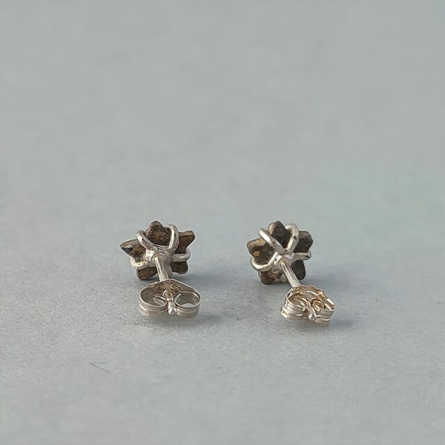 受注制作】金属アレルギー対応/silver925/ウミユリの茎/化石/化石標本
