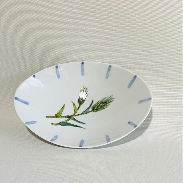 舟型小皿　ブルーライン　麦絵