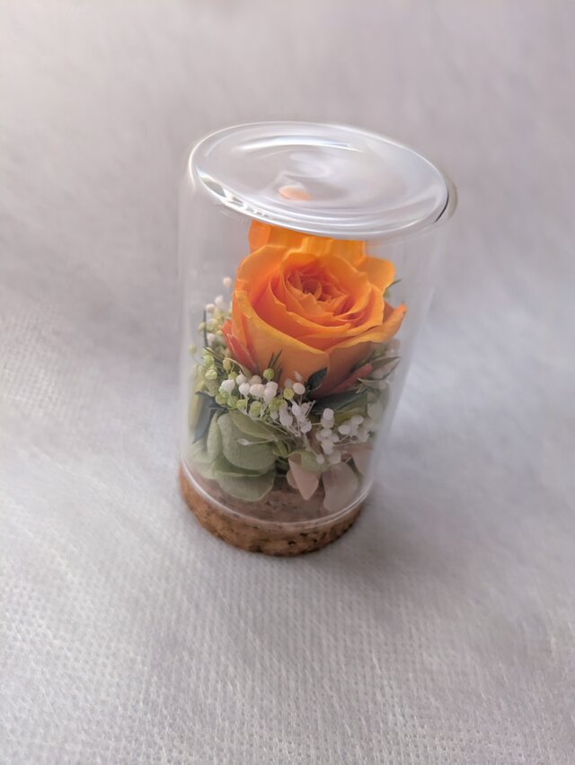 プリザーブドフラワー／オレンジミニ薔薇と小花のミニガラスボトル