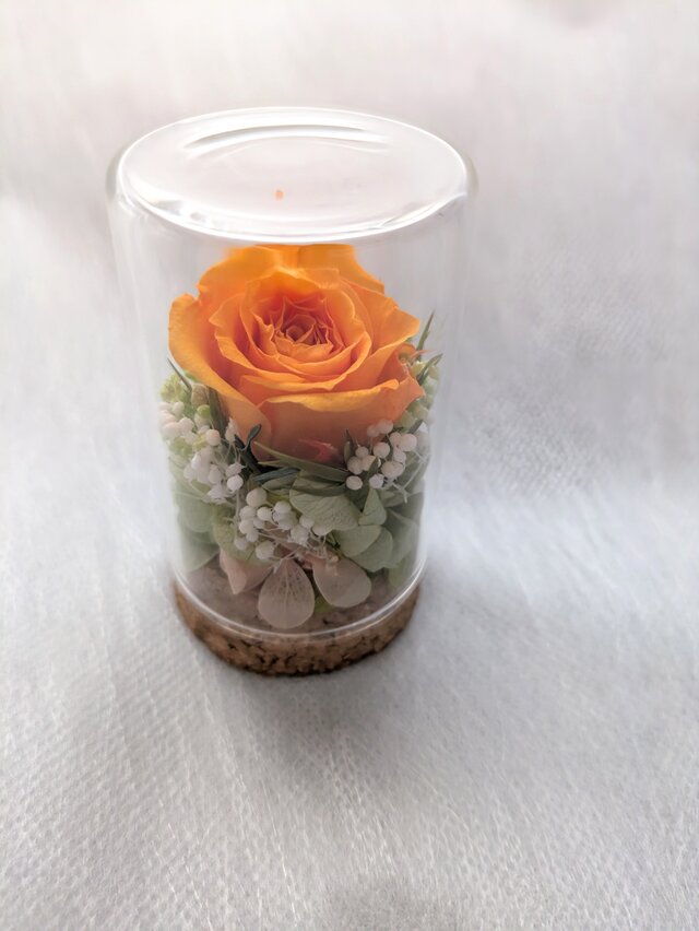 ドライフラワー❇️ミニバラ❣️オレンジ系 ドライフラワー ミニバラ❣️ ドライフラワー ミニバラ❣️オレンジ
