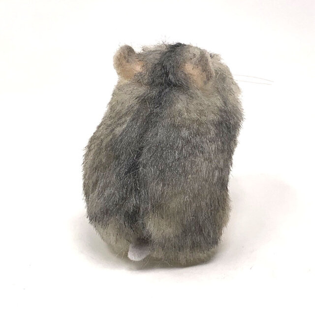 受注制作＞ジャンガリアンハムスターのぬいぐるみ ノーマル | iichi