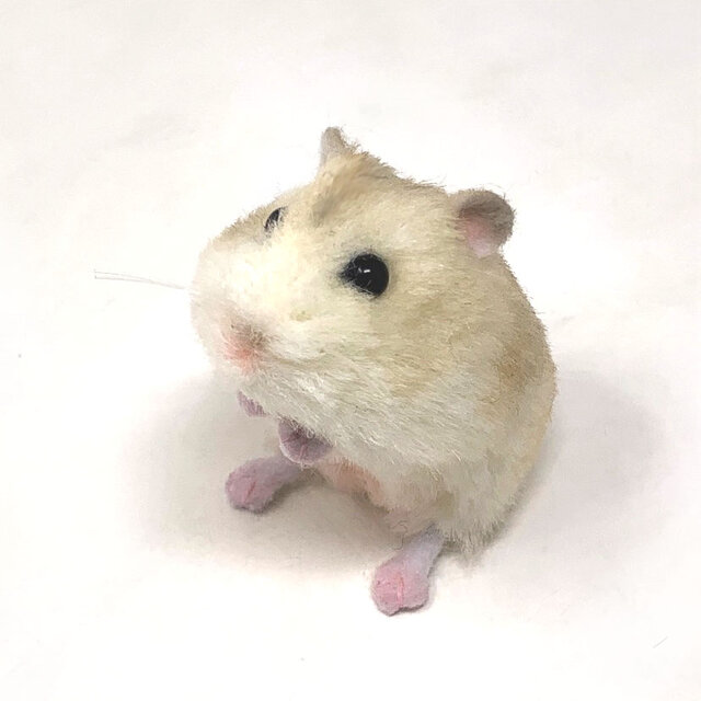 受注制作＞ジャンガリアンハムスターのぬいぐるみ プディング | iichi