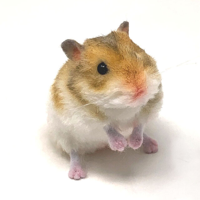 ハンドメイド ぬいぐるみ ハムスター Amazon | 【アニマル倶楽部】手芸キット 手作り ハムスター3色