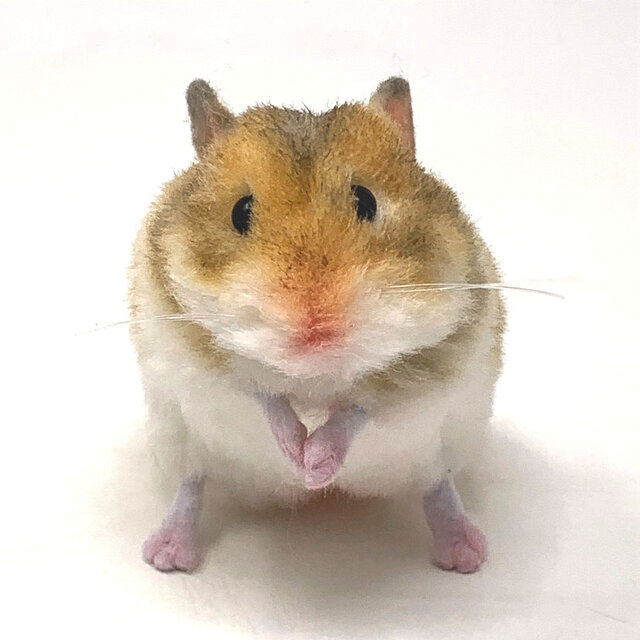 受注制作＞ゴールデンハムスターのぬいぐるみ | iichi 日々の