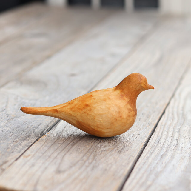 キノコトリハト