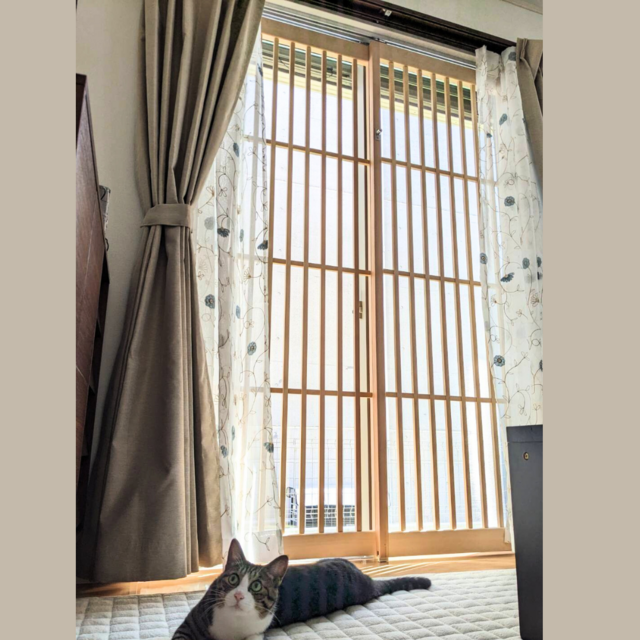 ネコちゃん用 脱走防止 窓用2枚引き戸