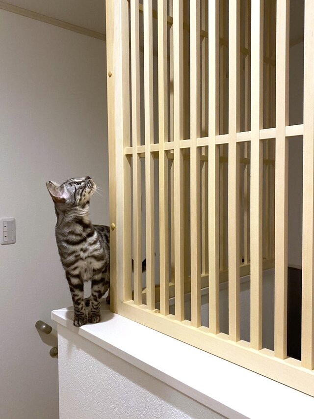 ネコちゃん用 落下防止フェンス