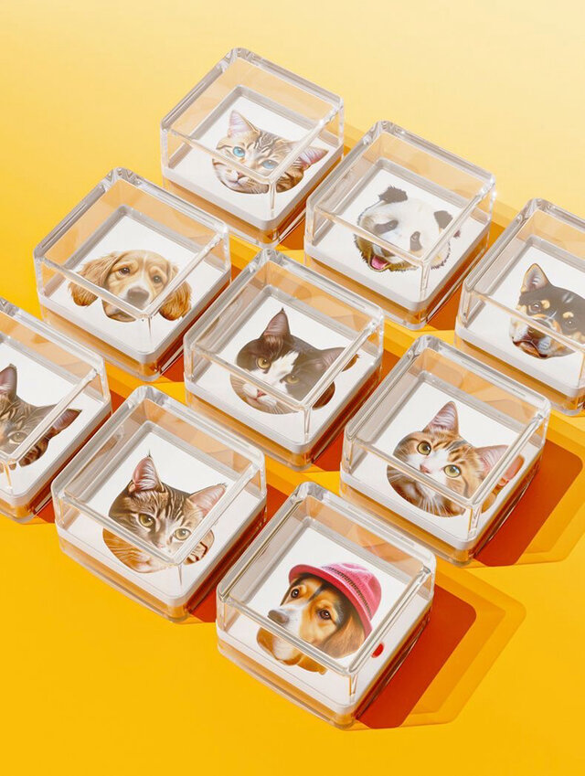 世界一つだけのスタンプ　ハンコ　愛犬・愛猫・動物・ペット・ウサギ・ハムスター・鳥など