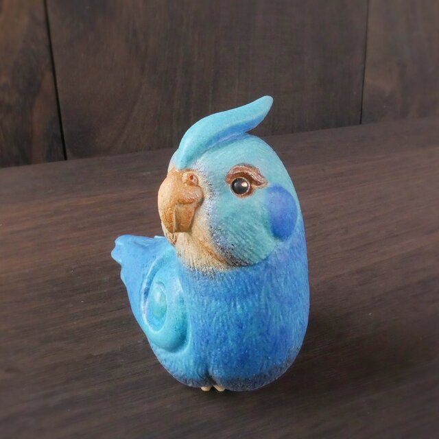 青色オカメインコオカメ no.16