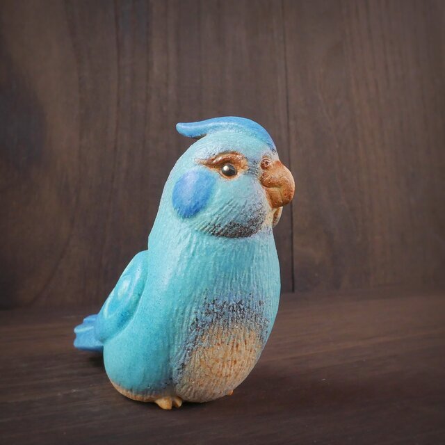 青色オカメインコオカメ no.18