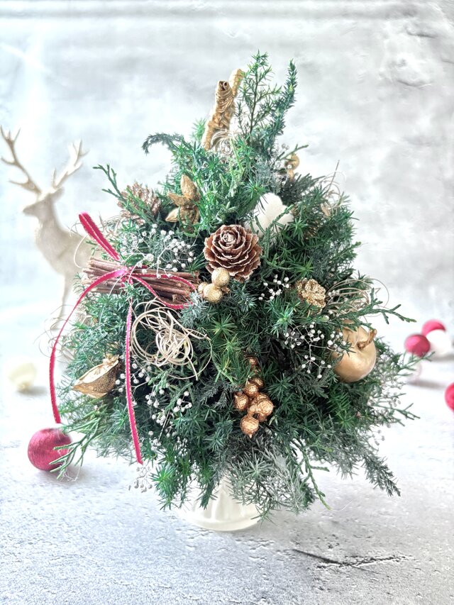 BOXつき） プリザーブドグリーンのクリスマスツリー｜木の実とゴールド