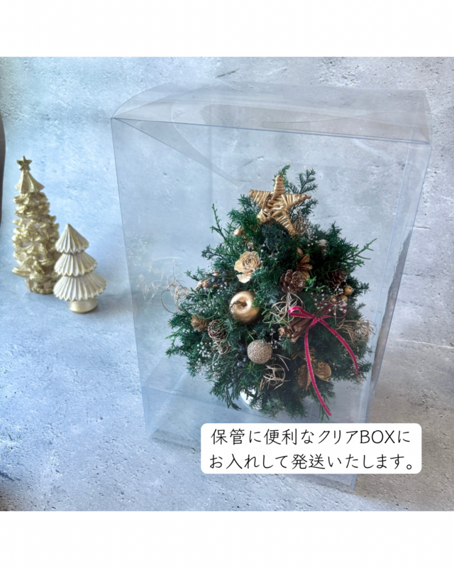 BOXつき） プリザーブドグリーンのクリスマスツリー｜木の実とゴールド