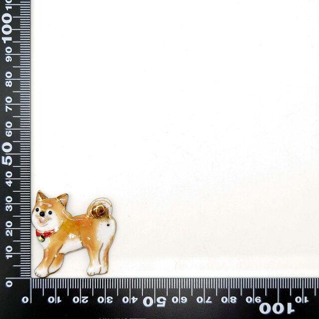 柴犬（2023A）の七宝焼ブローチ【受注制作】 | iichi 日々の暮らしを