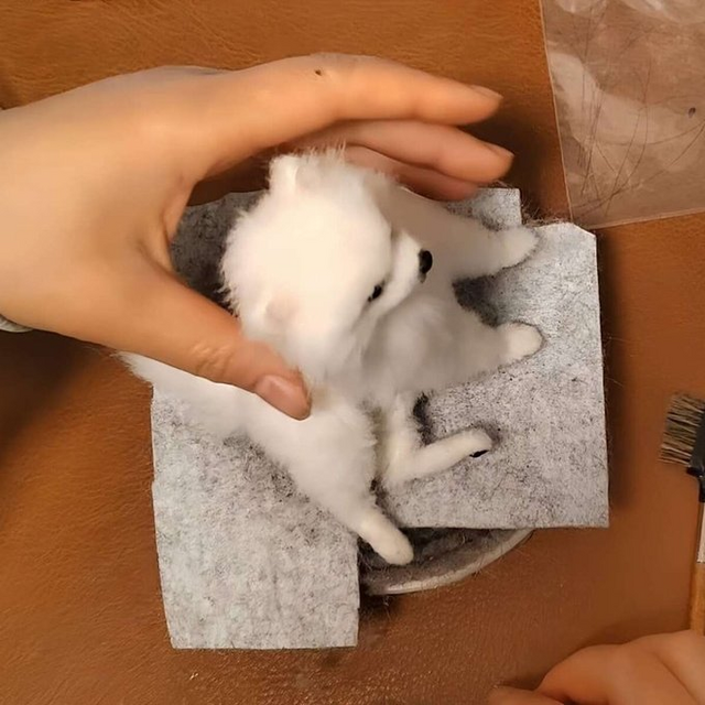 犬 写真から作る 羊毛フェルト｜うちの子 リアルオーダー | iichi 日々