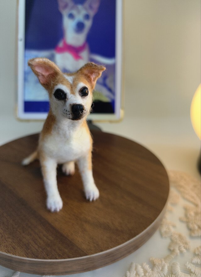 羊毛フェルト 愛犬 そっくり オーダーメイド｜写真から作る 犬
