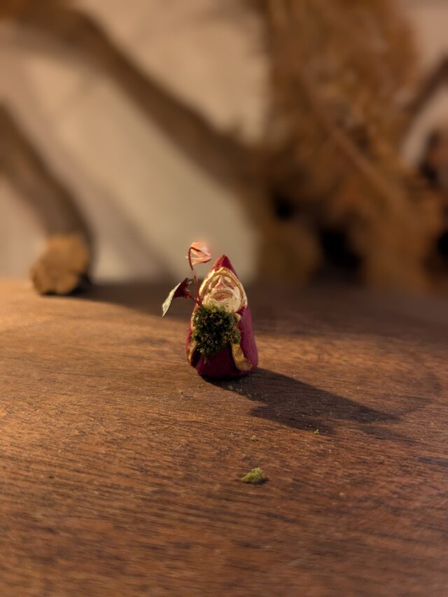 小さな小さなサンタクロース　51（原種シクラメン）