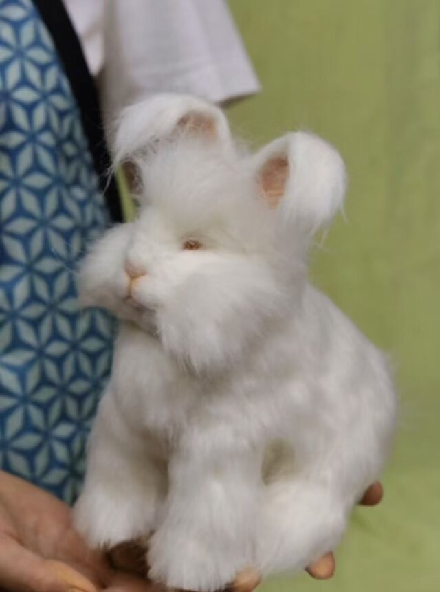 羊毛フェルト そっくり ペット オーダーメイド｜写真から作る リアル
